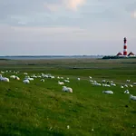 Schaeferhof Dircks 2 شقة