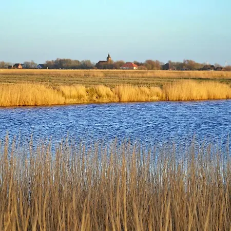 Lejlighed Schaeferhof Dircks 2 *