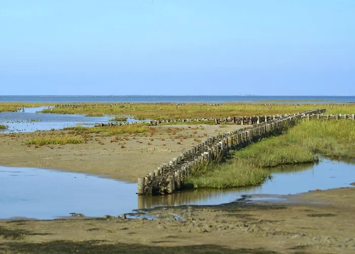 Schaeferhof Dircks 2 * Westerhever