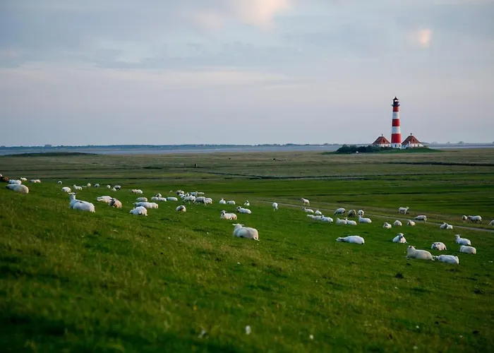 Schaeferhof Dircks 2 Westerhever