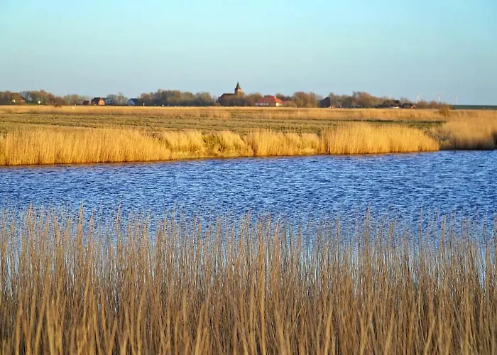 Appartement Schaeferhof Dircks 2 *