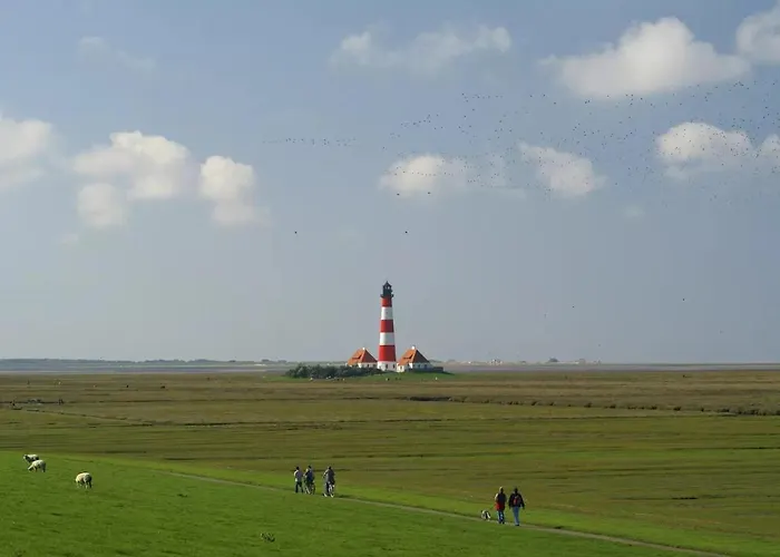 Schaeferhof Dircks 2