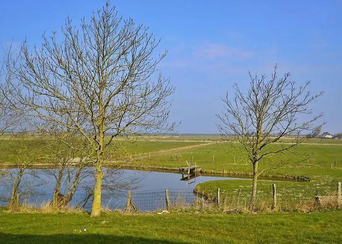 Appartement Schaeferhof Dircks 2 *